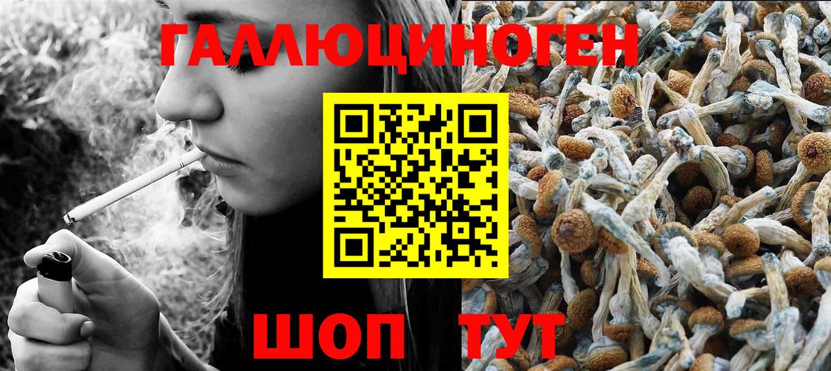 Химки  Галлюциногенные грибы мицелий  Вход с VPN  Галлюциногенные грибы MAGIC MUSHROOMS 